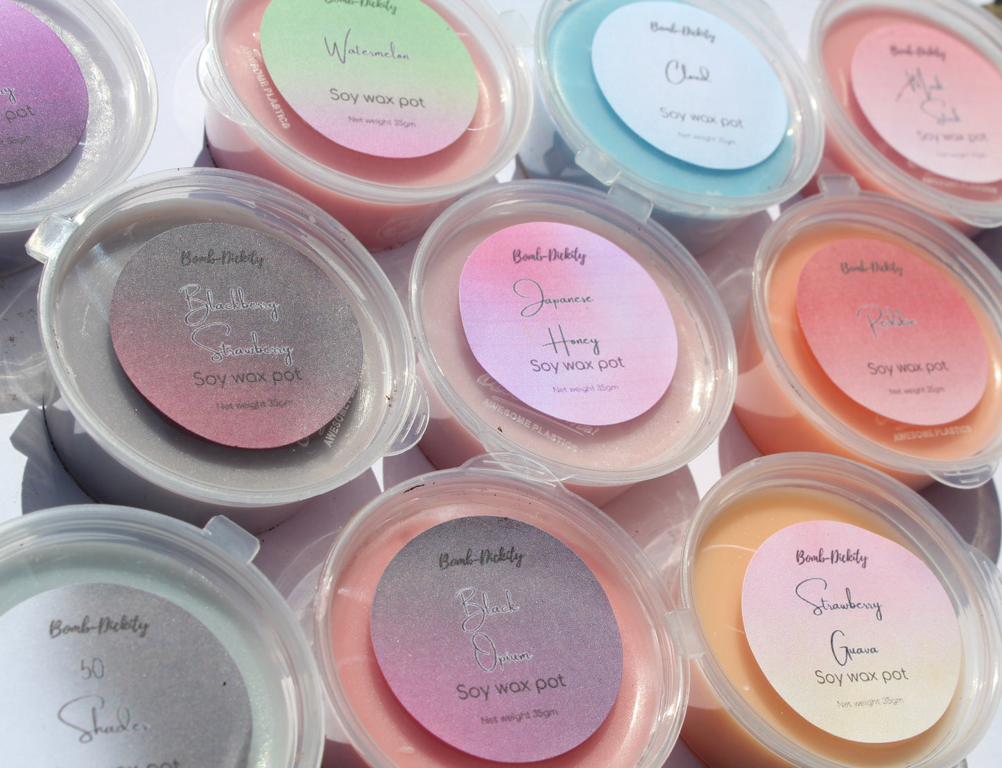 Shot wax pot