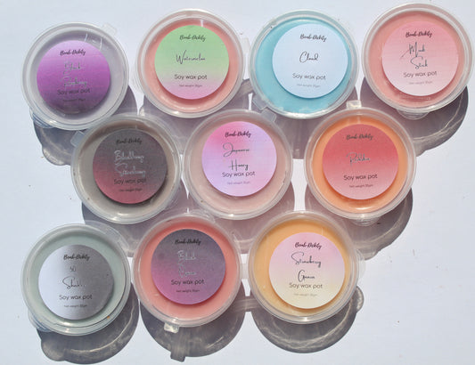 Shot wax pot